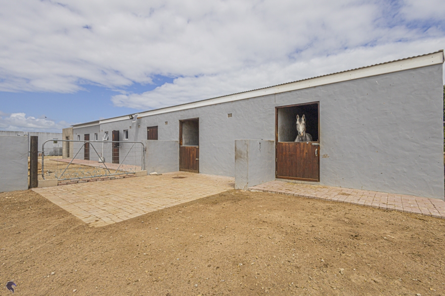 4 Bedroom Property for Sale in Long Acres Country Estate Western Cape
